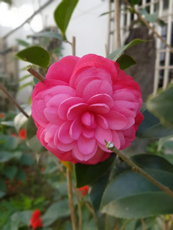 吾居吾宿 Zhixue Екстер'єр фото